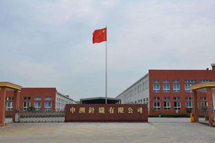 申洲國(guó)際半年業(yè)績(jī)?cè)鍪?0.8%，生產(chǎn)效率提升成關(guān)鍵驅(qū)動(dòng)力，運(yùn)動(dòng)類產(chǎn)品銷售額占67.9%